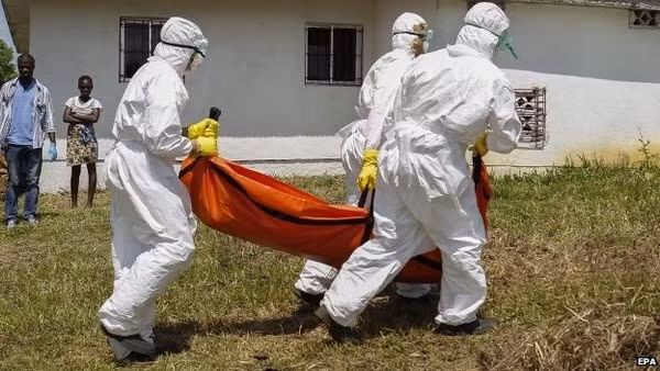 Đại dịch Ebola hoành hành ở Tây Phi.