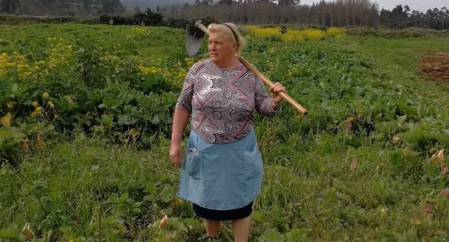 Bà Dolores Leis