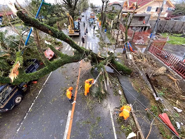 Bão Goni quật đổ cây cối ở Philippines.