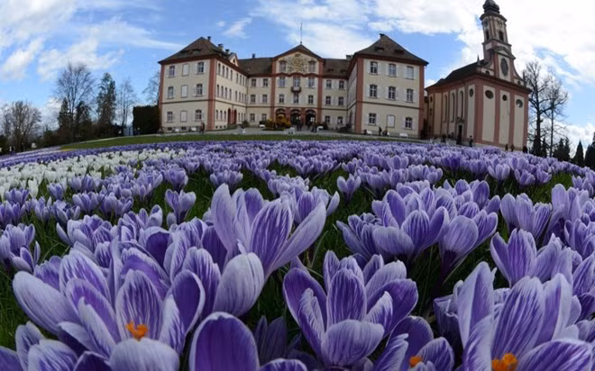 Nằm cách thành phố Konstanz, miền nam nước Đức khoảng 30 phút đi thuyền, Mainau còn có tên gọi đảo hoa, là một công viên tự nhiên độc nhất vô nhị trên thế giới. Mainau trải dài trên khu vực rộng 45ha, cuối thế kỷ XIX, đại công tước xứ BadenFrederick I đã mua hòn đảo và trồng nhiều loại cây và hoa. Tuy nhiên, người cháu trai của ông - Lennart Bernadotte mới chính là người biến hòn đảo thành một thiên đường hoa lộng lẫy. Mùa xuân chính là thời điểm tuyệt vời để du khách ngắm nhìn trăm hoa đua sắc ở Mainau dù cho thời tiết không thực sự chiều lòng người. 