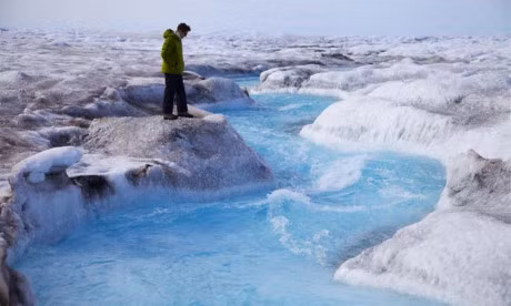 Chum anh he lo dao Greenland dang dan... bien mat - Anh 1