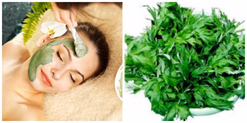 Mẹo hay: Tuyệt chiêu làm đẹp từ cây cỏ ảnh 2 Mẹo hay: Tuyệt chiêu làm đẹp từ cây cỏ - 3