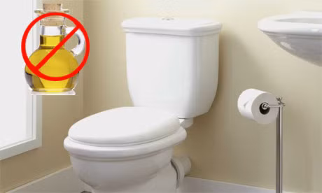 Ly do ban khong duoc do thuc an dau mo vao toilet - Anh 1