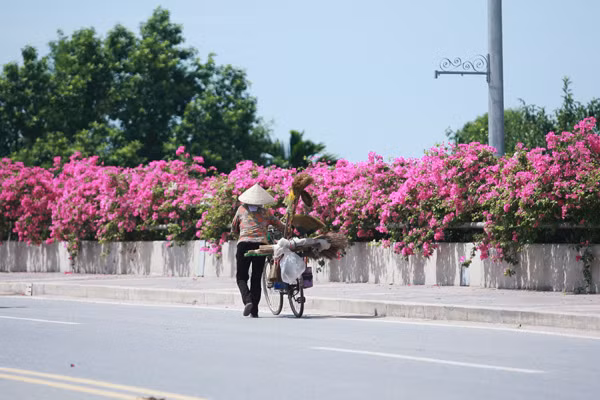 Giới trẻ mê mẩn chụp ảnh cùng hoa giấy đẹp rực rỡ ảnh 3 Giới trẻ mê mẩn chụp ảnh cùng hoa giấy đẹp rực rỡ ảnh 3