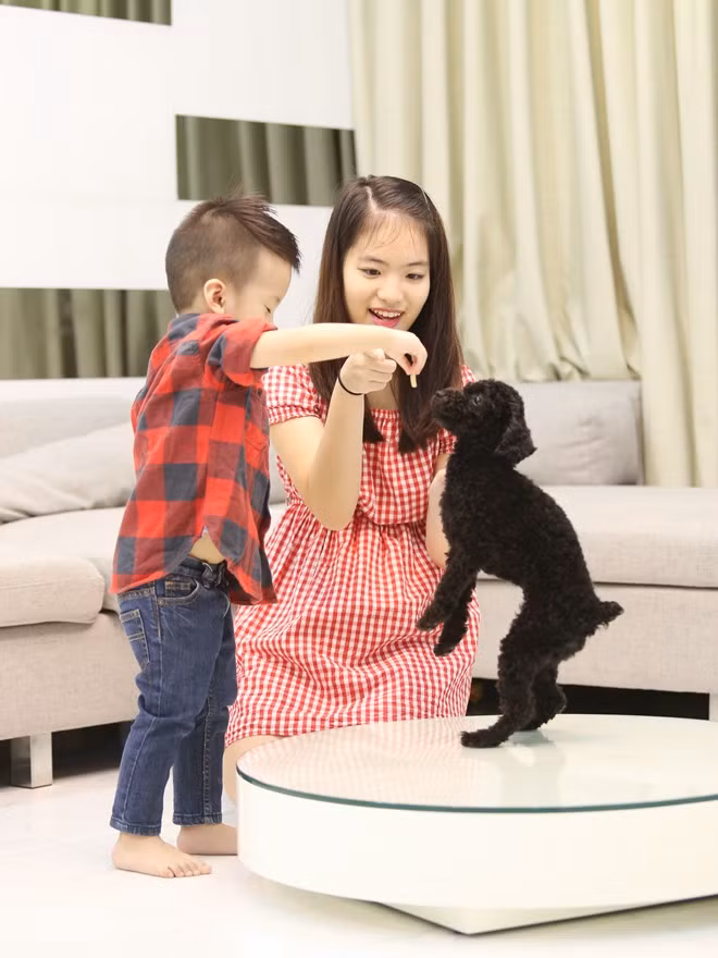 Hai chị em đều có chung sở thích yêu quý thú cưng. Thu Cầm được nhận xét thừa hưởng làn da trắng và nét đẹp từ mẹ, trong khi cậu út giống hệt ông bố nổi tiếng. Con gái xinh xắn của ca sĩ Duy Mạnh