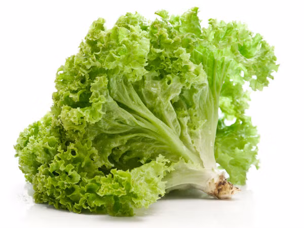 5. Rau xà lách chứa 94% là nước và cũng rất giàu vitamin A. Ăn rau xà lách vào mùa hè giúp ngăn ngừa đột quỵ do nhiệt và làm mát các cơ quan trong cơ thể. Ảnh: Boldsky. 5. Rau xà lách chứa 94% là nước và cũng rất giàu vitamin A. Ăn rau xà lách vào mùa hè giúp ngăn ngừa đột quỵ do nhiệt và làm mát các cơ quan trong cơ thể. Ảnh: Boldsky.