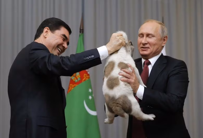 Tổng thống Turkmenistan Gurbanguly Berdimuhamedov tặng một chú chó cho ông Putin nhân ngày sinh nhật của Tổng thống Nga Tổng thống Turkmenistan Gurbanguly Berdimuhamedov tặng một chú chó cho ông Putin nhân ngày sinh nhật của Tổng thống Nga