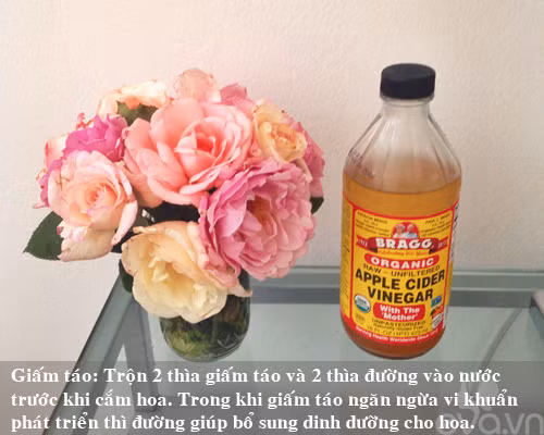 9 bi kip giu hoa tuoi lau me nen thu san - 5
