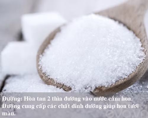 9 bi kip giu hoa tuoi lau me nen thu san - 1