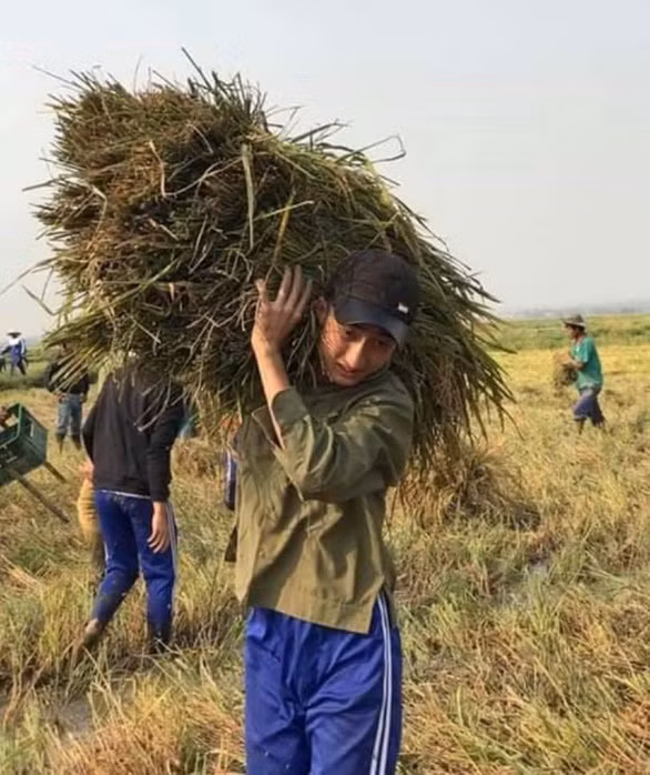 Bạn học đến giúp Tình gặt lúa theo lời kêu gọi của thầy Nam.
