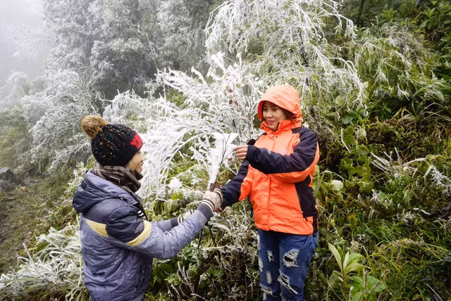 Băng giá phủ trắng vùng núi Lào Cai, Cao Bằng ảnh 3
