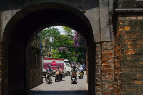 Mua hoa tim tren khap pho phuong Ha Noi - Anh 8