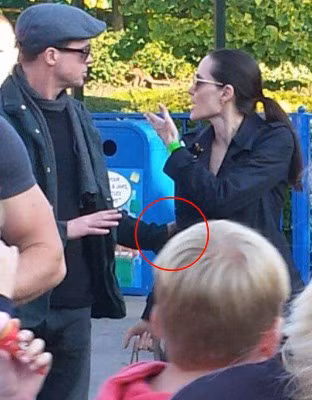Brad Pitt bi canh sat dieu tra vi danh dap con cai luc say xin - Anh 2