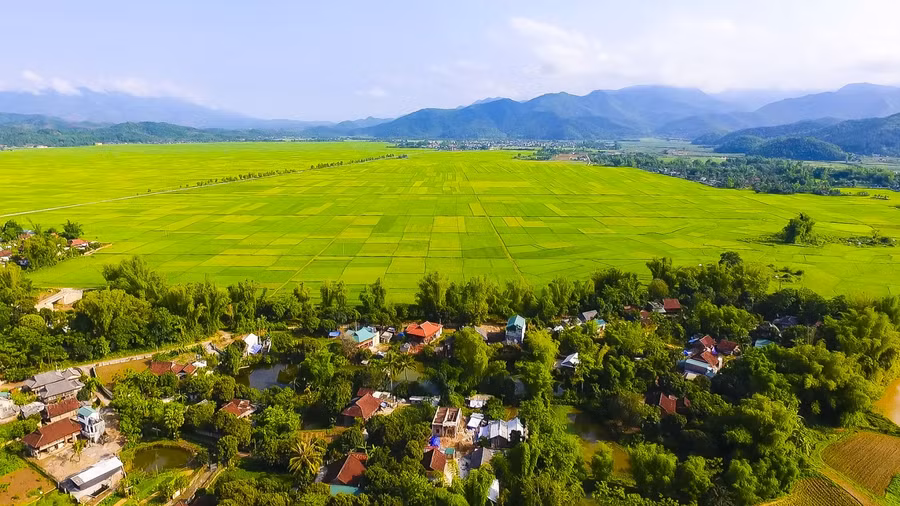 Những bản làng trù phú nằm sát bên cánh đồng Mường Thanh.