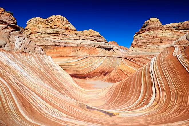 The Wave