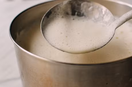 Co ngay sua dau nanh 