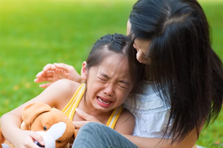 Con bị rôm sảy đầu hè, mẹ chỉ cần chà thứ này lên người là khỏi ngay