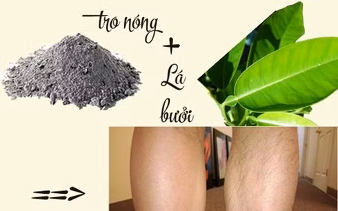 mach ban gai meo nho cuc de loai bo long chan hinh anh 6
