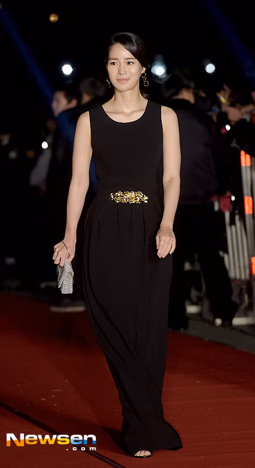 Thảm đỏ APAN Star Awards 2015