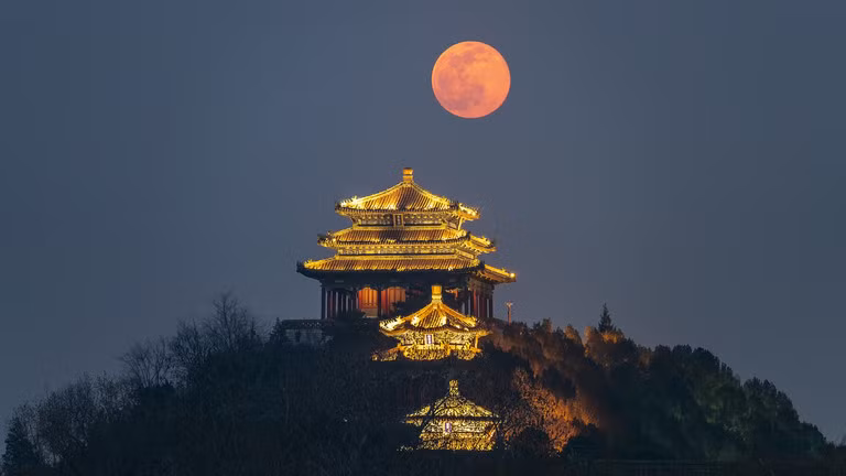 (Ảnh: Getty Image)