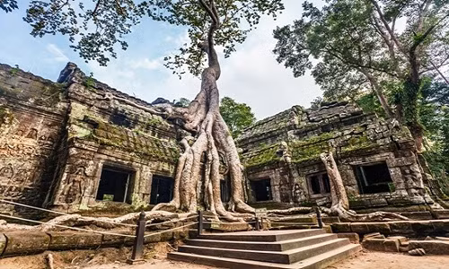 Ngôi đền Ta Prohm tại Angkor, Campuchia. Ảnh: Kushch Dmitry. nhung-nen-van-minh-co-dai-bi-diet-vong-vi-bien-doi-khi-hau-1