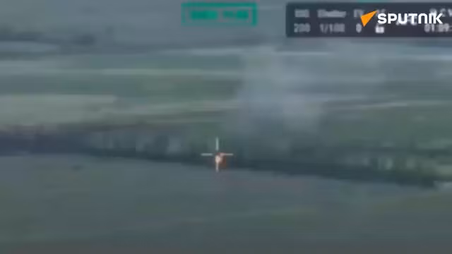 (Ảnh từ clip)