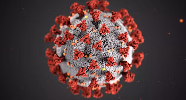Hình minh họa virus corona.