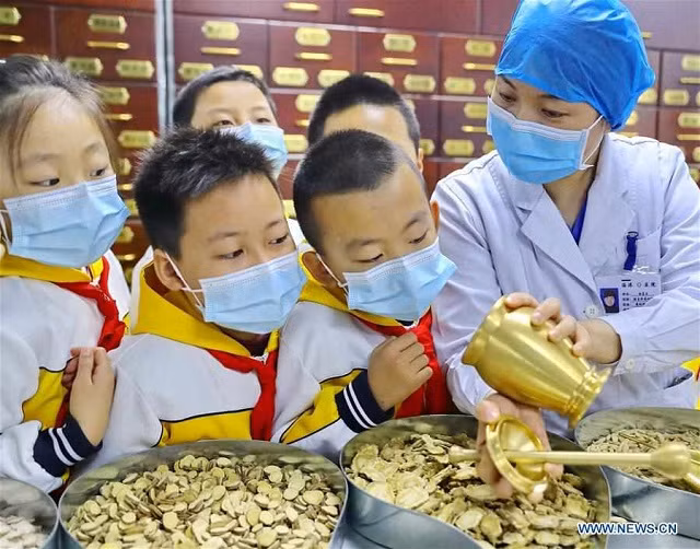 Học sinh học kiến thức về các nguyên liệu y học cổ truyền của Trung Quốc dưới sự hướng dẫn của một nhân viên y tế ở Qinhuangdao, tỉnh Hà Bắc