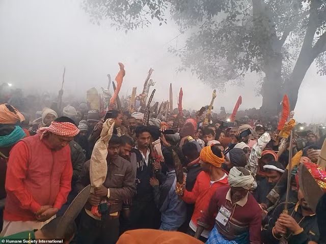 Gadhimai là lễ hội đã có từ nhiều thế kỷ