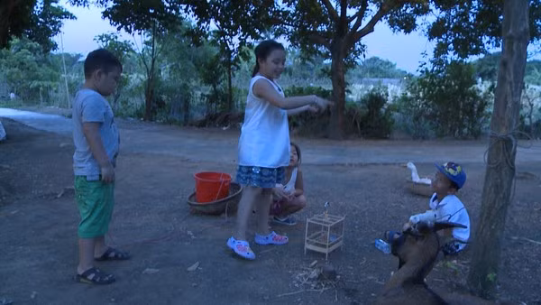 Con gái Minh Khang khóc nức nở vì áy náy với các em 1