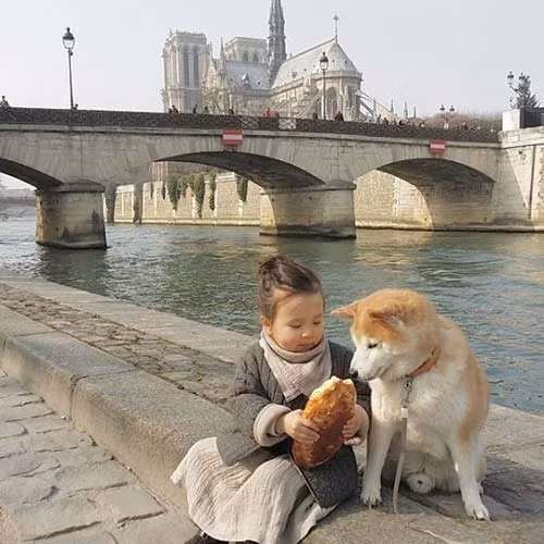 “Tan chảy” với tình bạn của cô bé Pháp 2 tuổi và chó cưng - 8