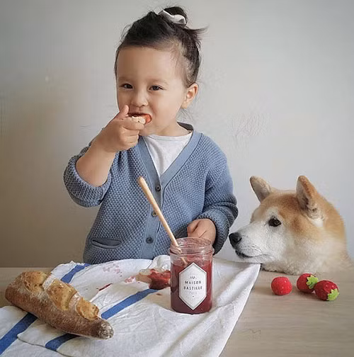 “Tan chảy” với tình bạn của cô bé Pháp 2 tuổi và chó cưng - 3