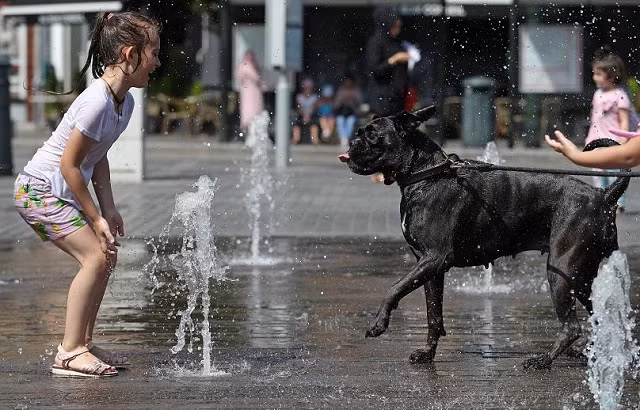 Một bé gái chơi với con chó của mình tại một đài phun nước ở Brussels