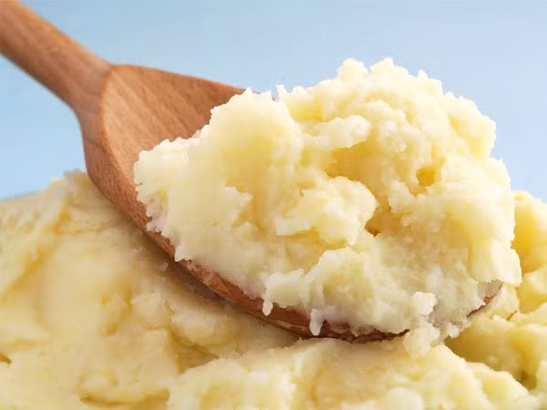 Nấm Kefir