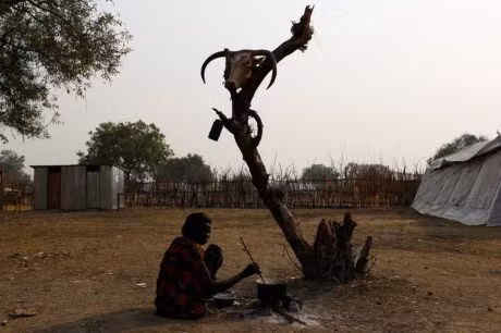 Khoang 5,5 trieu nguoi dan Nam Sudan nguy co chet doi! - Anh 8