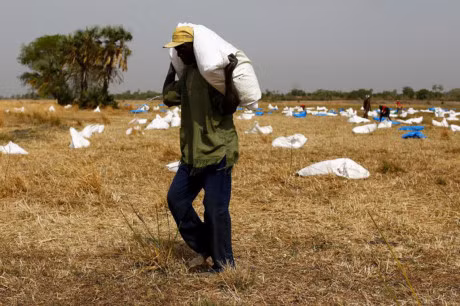Khoang 5,5 trieu nguoi dan Nam Sudan nguy co chet doi! - Anh 15
