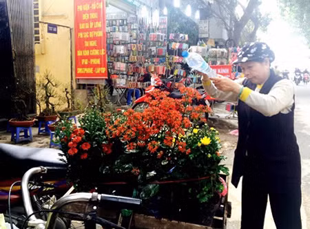 Điểm đặc biệt của chợ Bưởi những ngày giáp Tết là số lượng người bán hàng rong hoặc từ các nơi khác vượt gấp nhiều lần số cửa hàng cố định, cứ có chỗ trống từ bãi đất, vỉa hè là có hoa, có cây