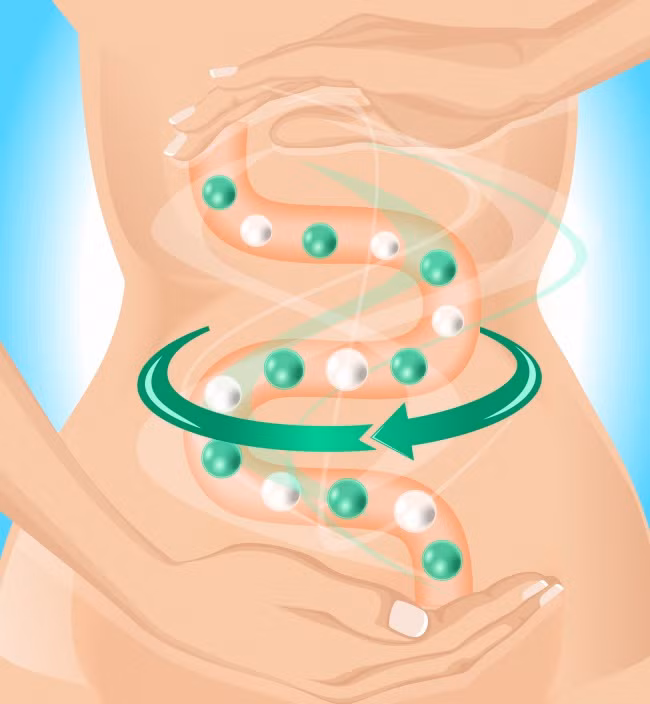 Nước dừa giúp ngăn chặn các vấn đề về tiêu hóa Nước dừa giúp ngăn chặn các vấn đề về tiêu hóa
