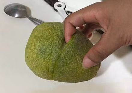 Mach ban meo boc buoi nhanh, mui con nguyen bat mat - Anh 1