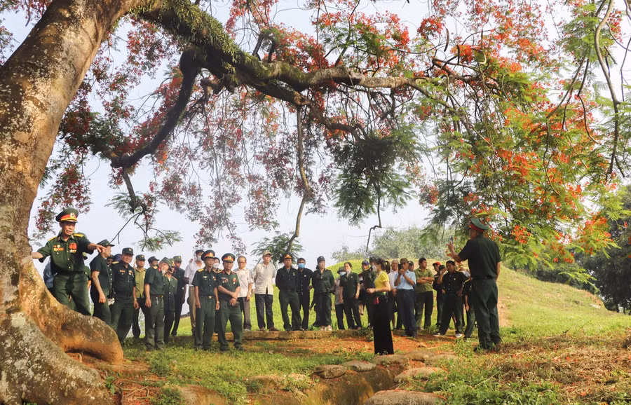 Mỗi độ tháng 5 về, hoa phượng rực đỏ trên Đồi A1 càng tạo thêm sức hấp dẫn đối với du khách.
