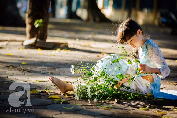 Nhan sắc thần tiên, thoát tục của cô bé Hà Nội bên cúc họa mi