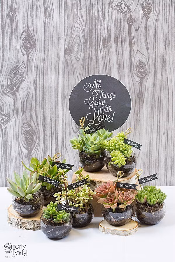 Những chậu cây xinh do chính tay bạn trồng và trang trí.