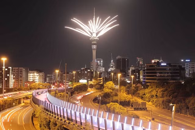 Chiêm ngưỡng màn pháo hoa đón năm mới sớm nhất toàn cầu ảnh 2