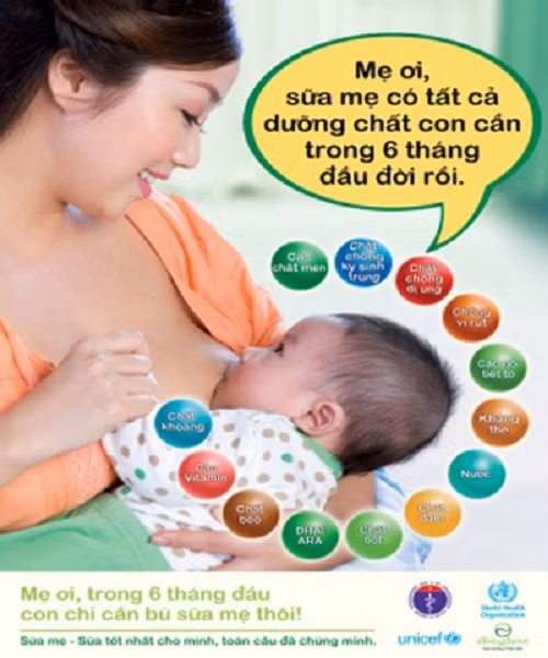 Sữa mẹ: 