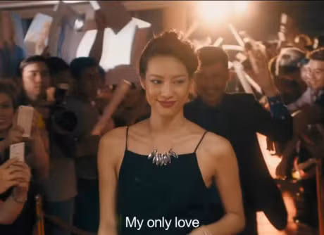 Ngo lo Hari Won, Tran Thanh 