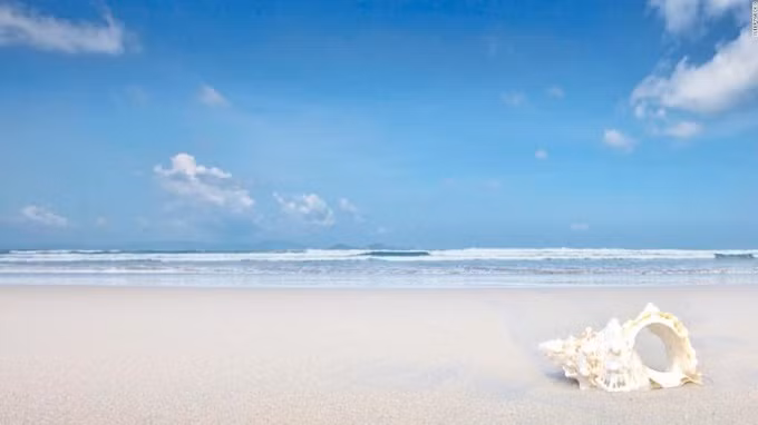 Trên một bán đảo nằm ở phía bắc của Nha Trang, miền Trung Việt Nam, Jungle Beach là một trong những nơi nghỉ ngơi hoang sơ với làn nước trong, cát mềm và rừng nhiệt đới phù hợp cho kỳ nghỉ sinh thái.