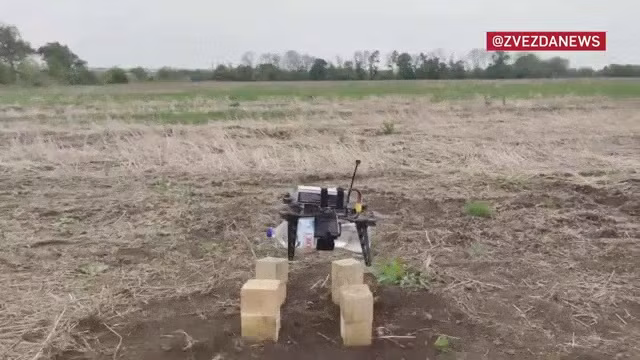 (Ảnh từ clip)