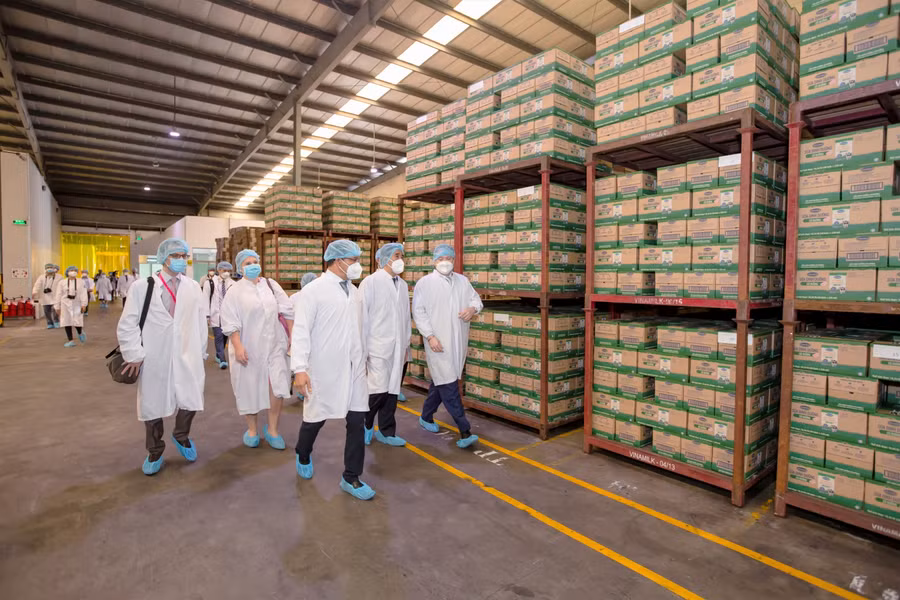 Tân Đại sứ Hoa Kỳ tại Việt Nam thăm nhà máy sữa Vinamilk tại Cần Thơ ảnh 3