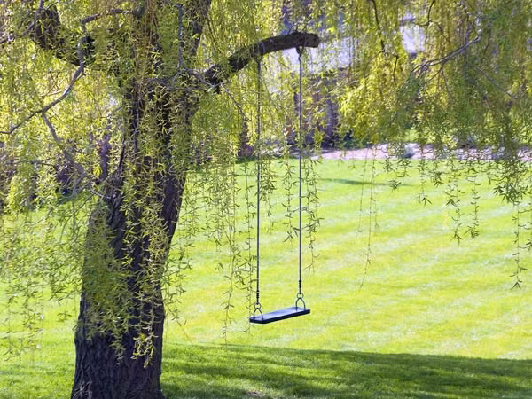 Cây cối có thể làm giảm bệnh tiêu chảy cho trẻ em vùng nông thôn