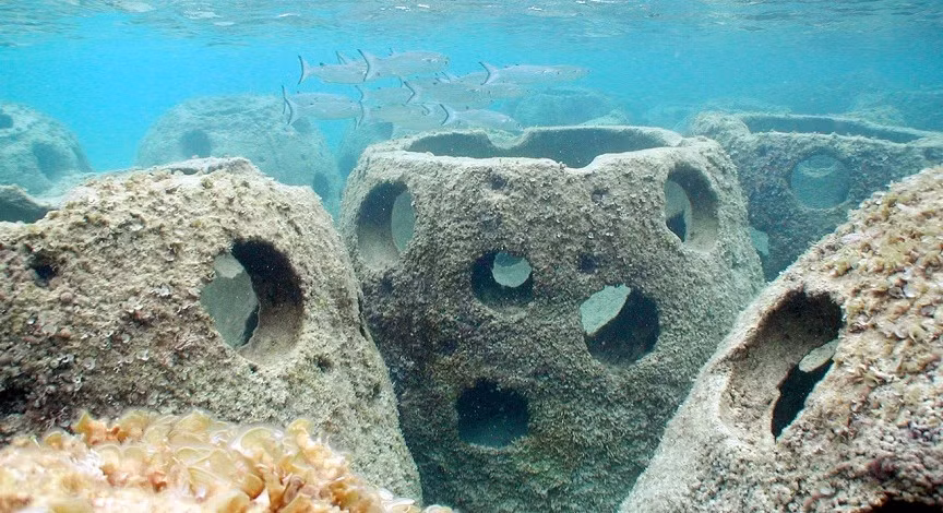 Coral-Reef.